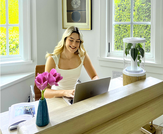 Home Office Workers