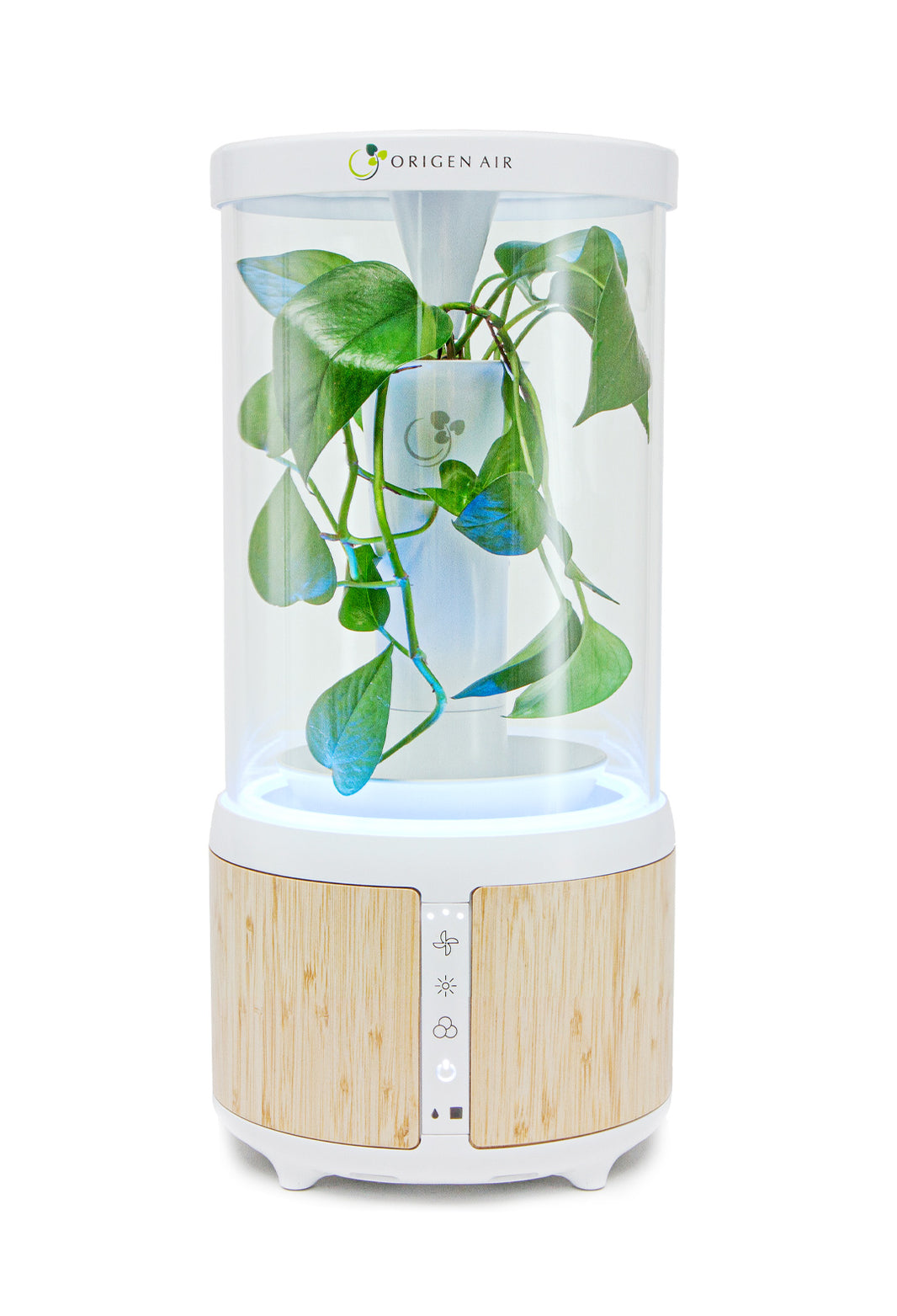 japanese air purifier plant The Eliza Air Purifier with Super Plants – Origen Air