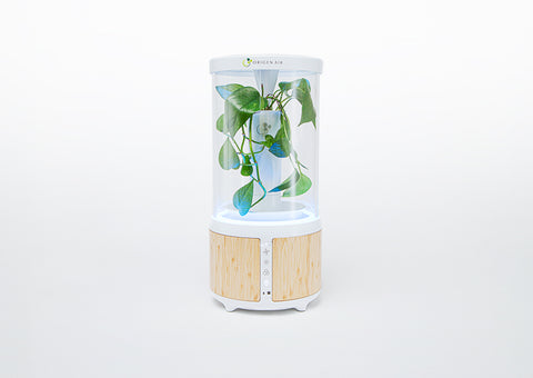japanese air purifier plant The Eliza Air Purifier with Super Plants – Origen Air