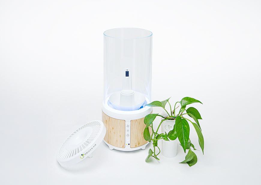 The Eliza Air Purifier Bring Your own Plant