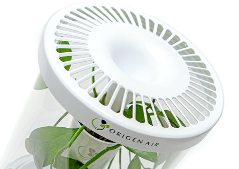 plant perk air purifier The Eliza Air Purifier with Super Plants – Origen Air